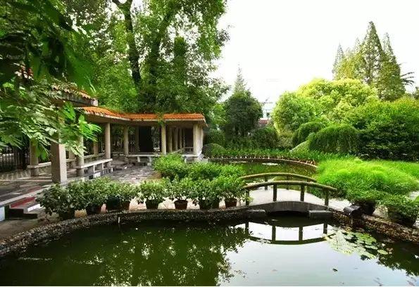 武漢15個(gè)區(qū)“最美中學(xué)”評(píng)選，有你的母校嗎(圖6)