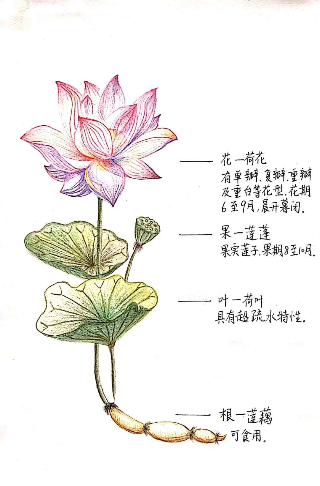 只要内心依旧滚烫你就一直在路上