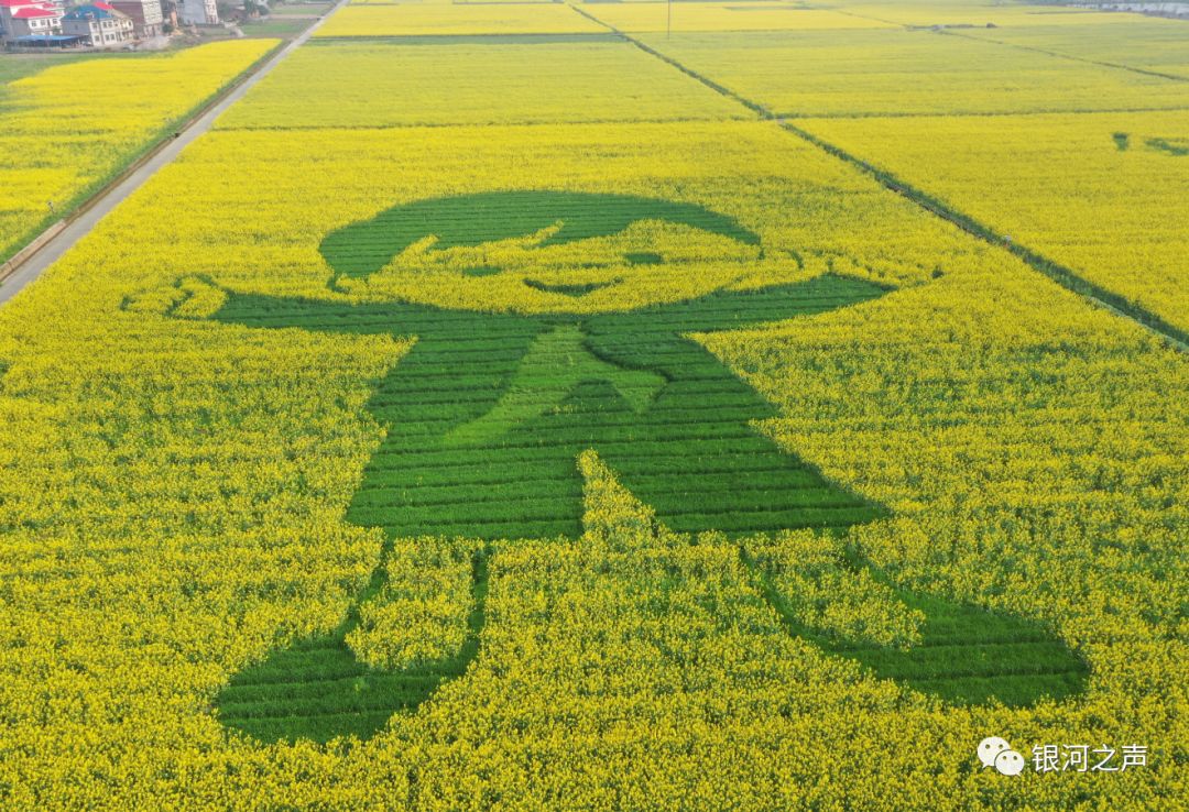 醉了三月靓了阡陌银河千亩油菜花海带你开启春天浪漫赏花之旅