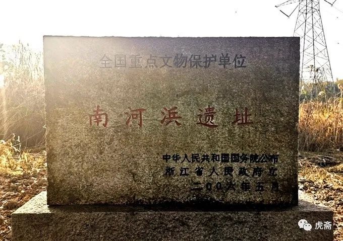 【国保打卡】(4)南河浜遗址(国6)_崧泽