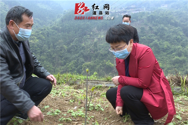 道县:何智英深入横岭瑶族乡调研指导脱贫攻坚工作