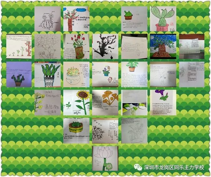 寻找春天的足迹争做绿色环保好队员