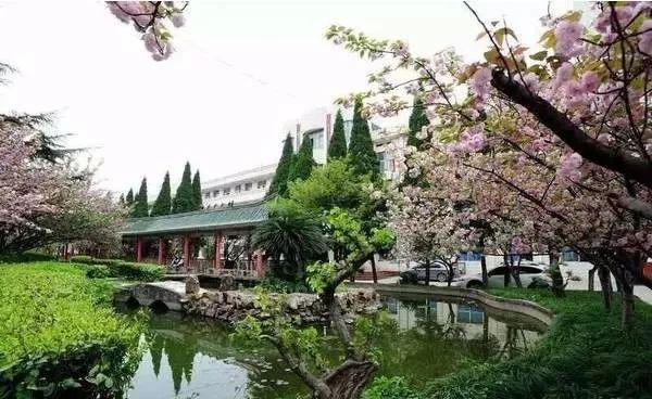 武漢15個(gè)區(qū)“最美中學(xué)”評(píng)選，有你的母校嗎(圖30)