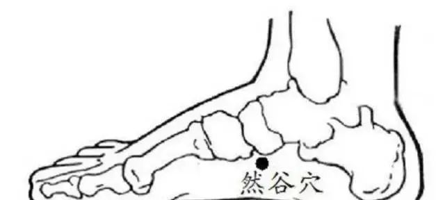 1,然谷穴 然谷穴是调理失眠的一个重要穴位,此穴位在足部内侧,脚窝