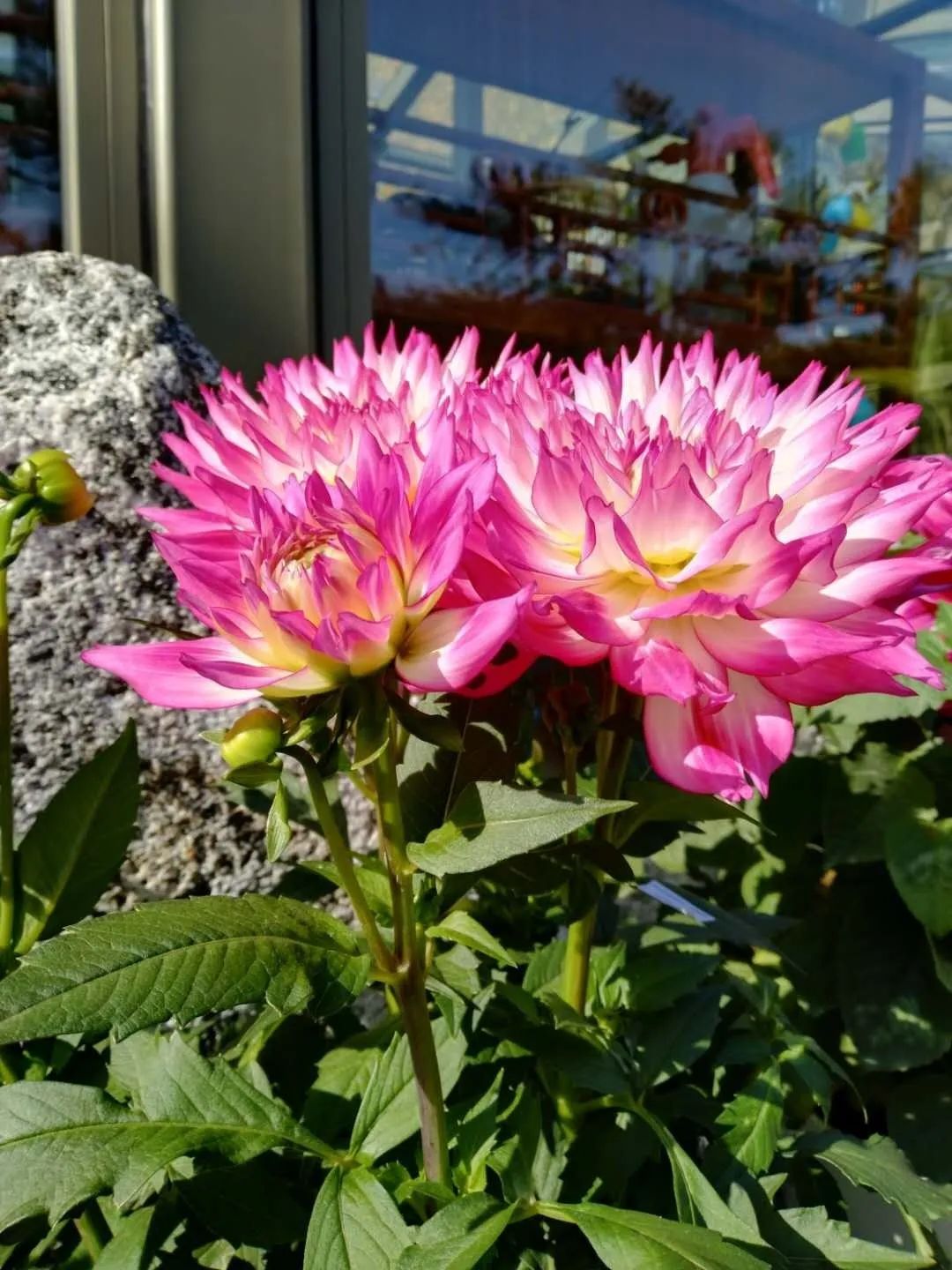 博雅教育我眼中的美摄影线上美育课第四期