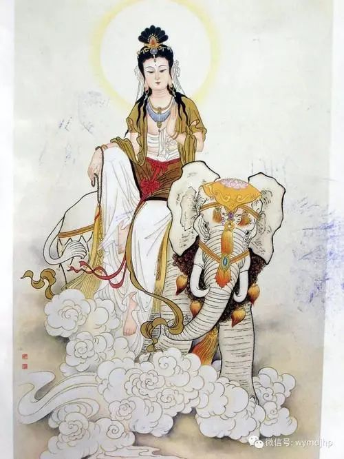 护国学佛恭迎普贤菩萨圣诞