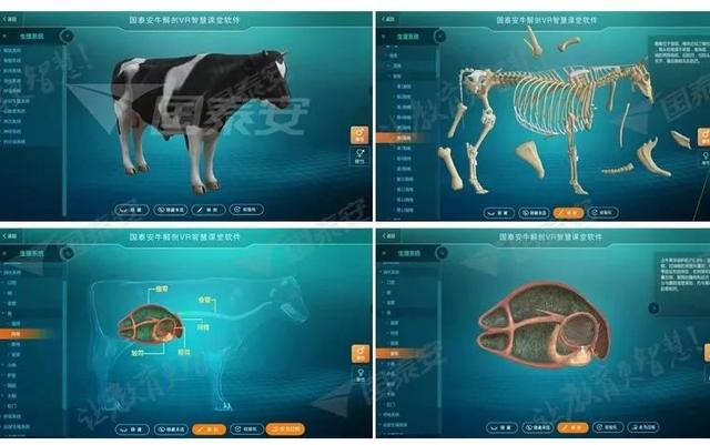 採用虛擬現實技術,根據採集到的動物真實生理解剖位置及比例參數,通過