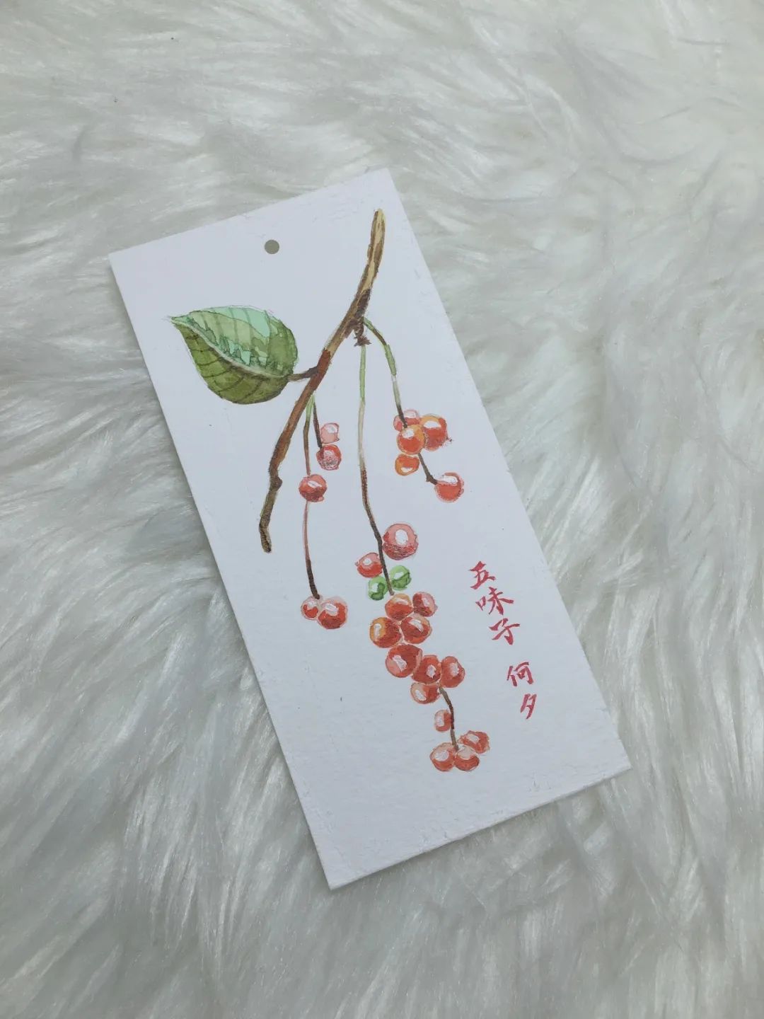 一大波福利来袭~_何夕