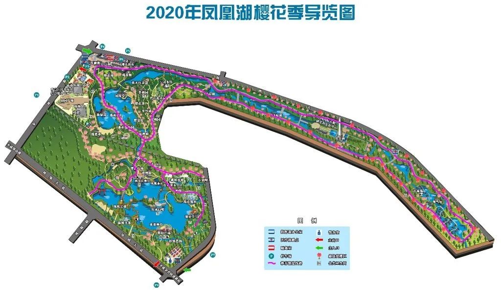 注意青白江凤凰湖樱花季须提前预约入园