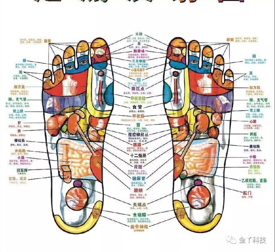 武汉第八医院女战士洗脚露真情:专家不想让你知道的7大养足秘密!