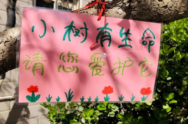 小朋友将自己制作的护绿提示牌悬挂在树木上 图片来源:开封市开封县街