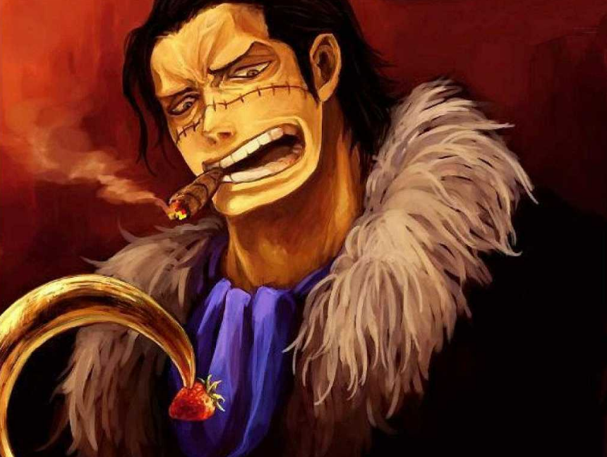 小结:多弗朗明哥和克洛克达尔有着相同的志向,而且两个人为了这个志向