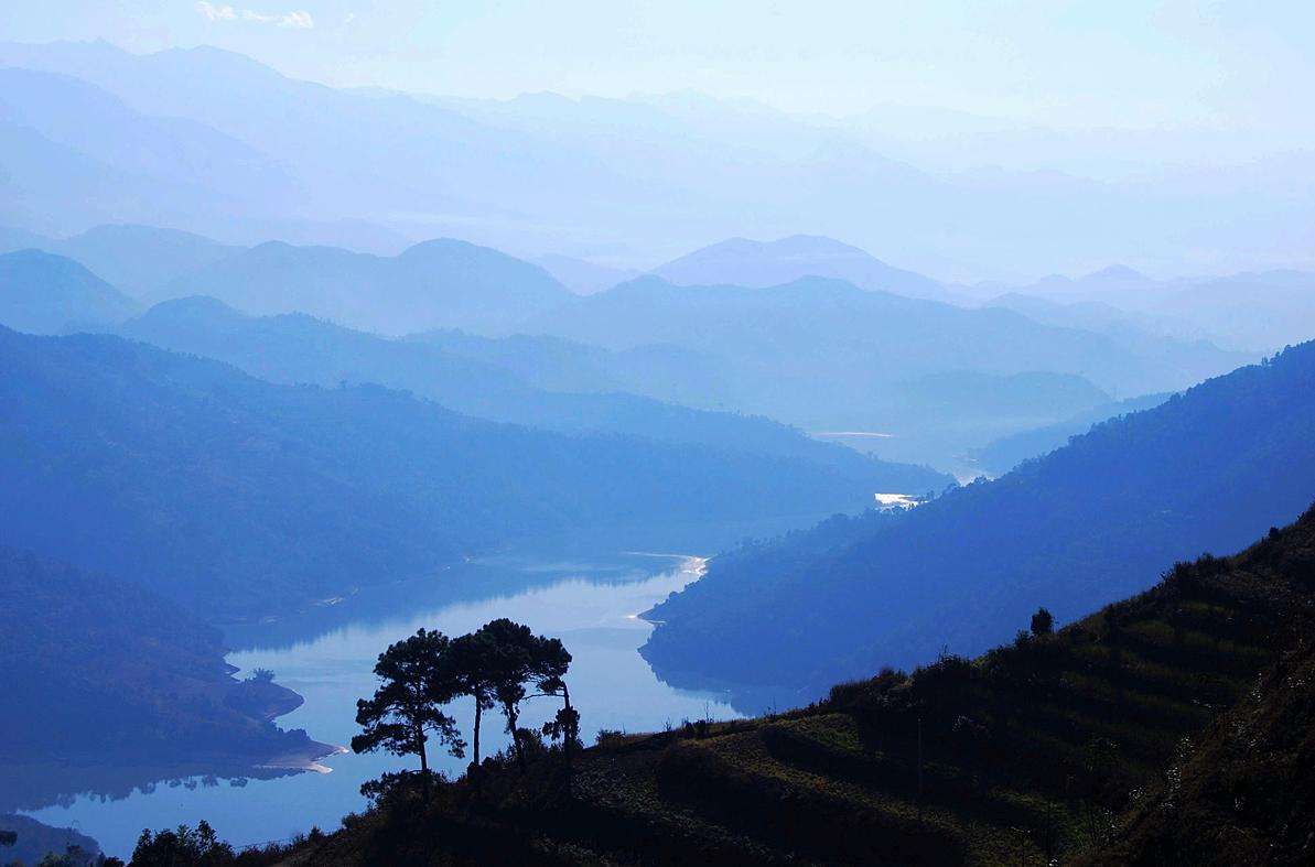 干货分享详解临沧云县佛茶圣地白莺山古树春茶