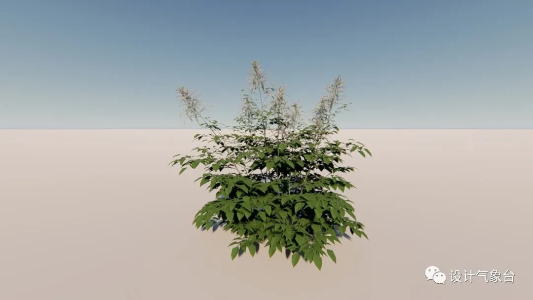 lumion10有没有什么比较全的模型库?_植物