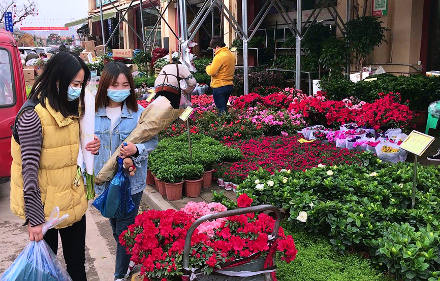 重庆最大花卉批发市场宏帆望海花都恢复营业花卉价格比春节前低2成