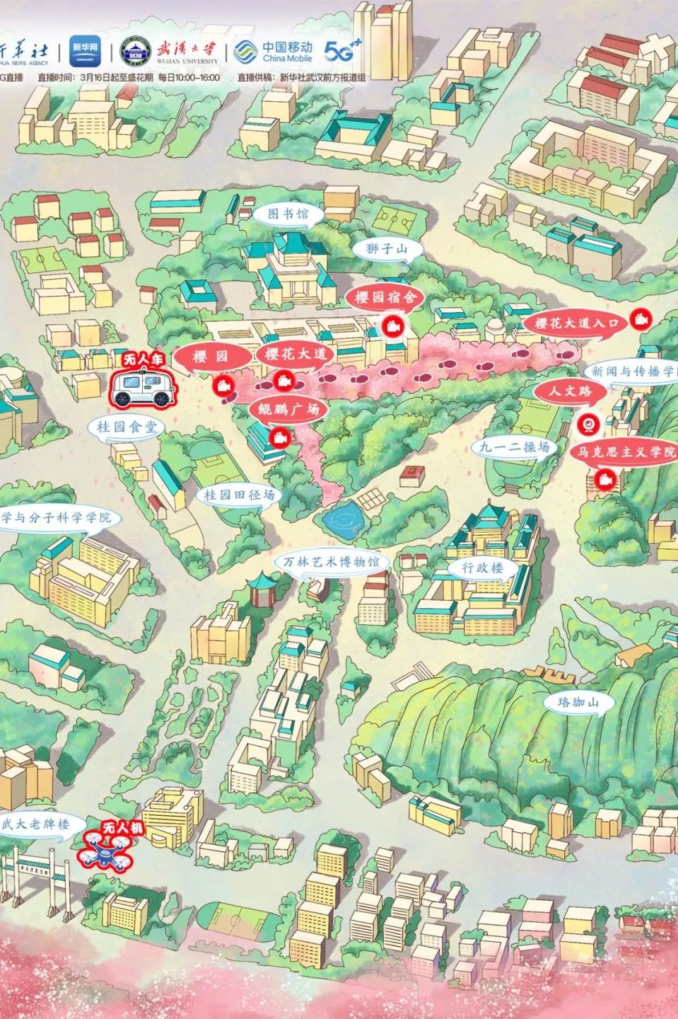 锦绣中华 | 从今天起,足不出户就能赏武大樱花了!