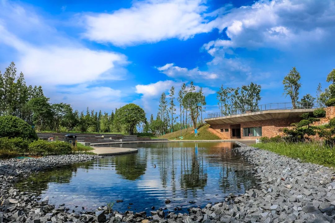 长沙巴溪洲今天开园,等你来赏春!