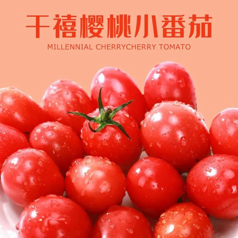 顺丰包邮配送千禧樱桃小番茄九分甜一份酸红彤彤小太阳吃起来369元抢
