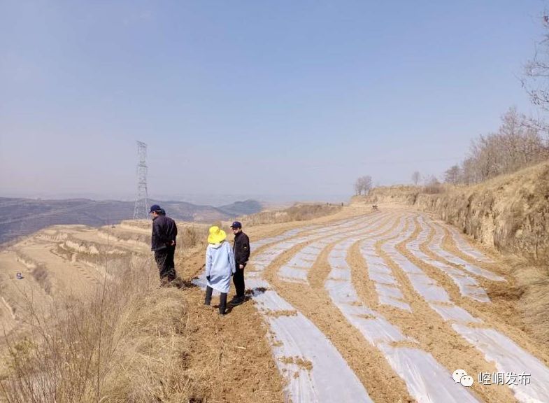 平凉刚刚安国镇,草峰镇,柳湖镇,寨河乡,白水镇四十里铺镇:大哥,稳!