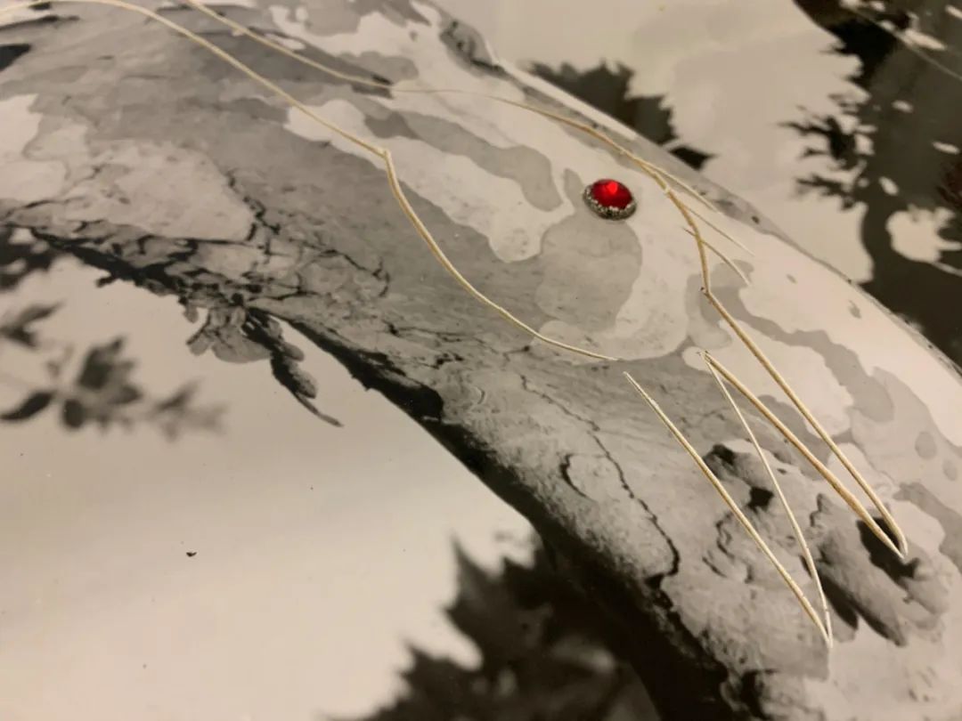 艺术家云驻留第十二期鸟头回归