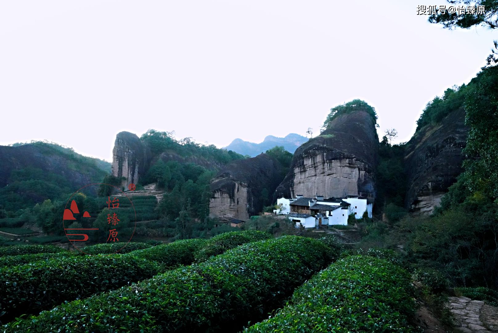 原来喝岩茶也有这么多禁忌?正确喝茶方法看这里_武夷