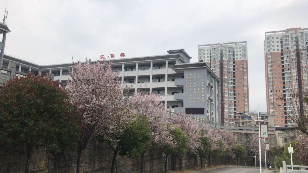 去年,从道真中学毕业考入山东大学(威海校区).