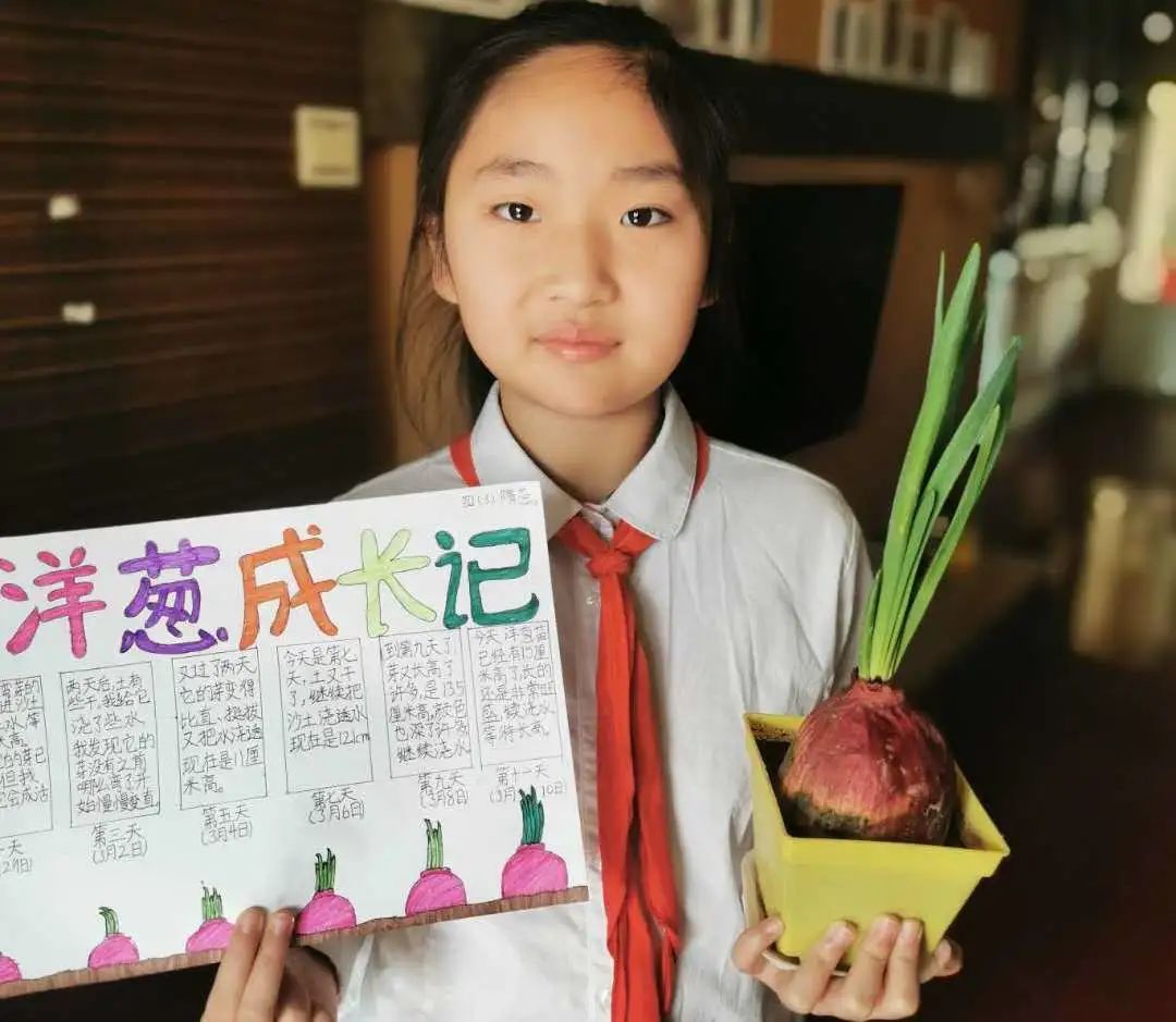 辅导员鼓励队员们在家里尝试种植蔬菜小盆栽,绿植,多肉等植物,为自己