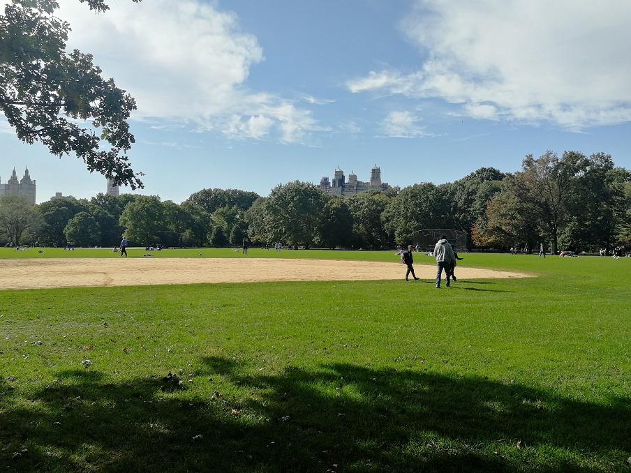 纽约中央公园 the center park of new york