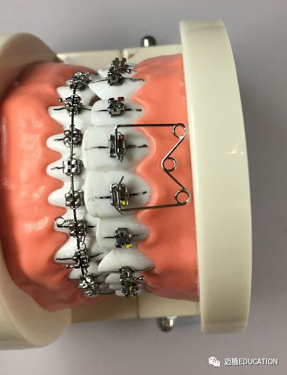 口腔正畸助手工作流程