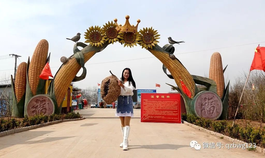 曲周万邦植物迷宫果然是个谜!_侯村镇