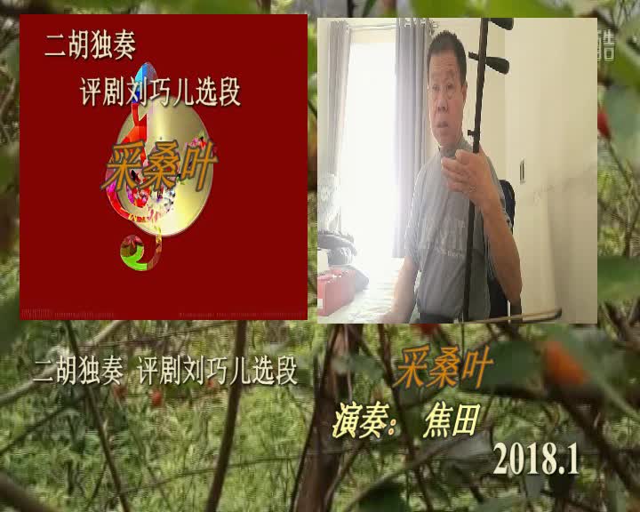 焦田二胡独奏评剧刘巧儿采桑叶