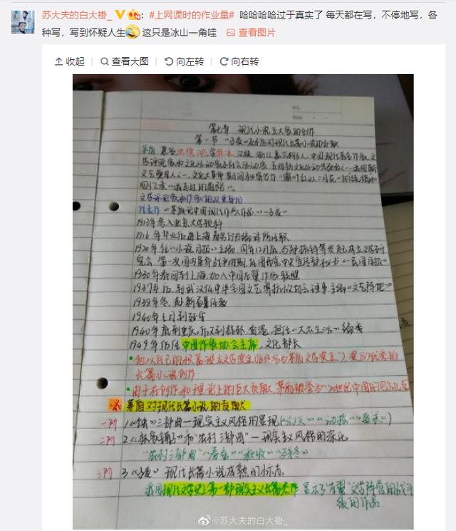 大学作业照片图片