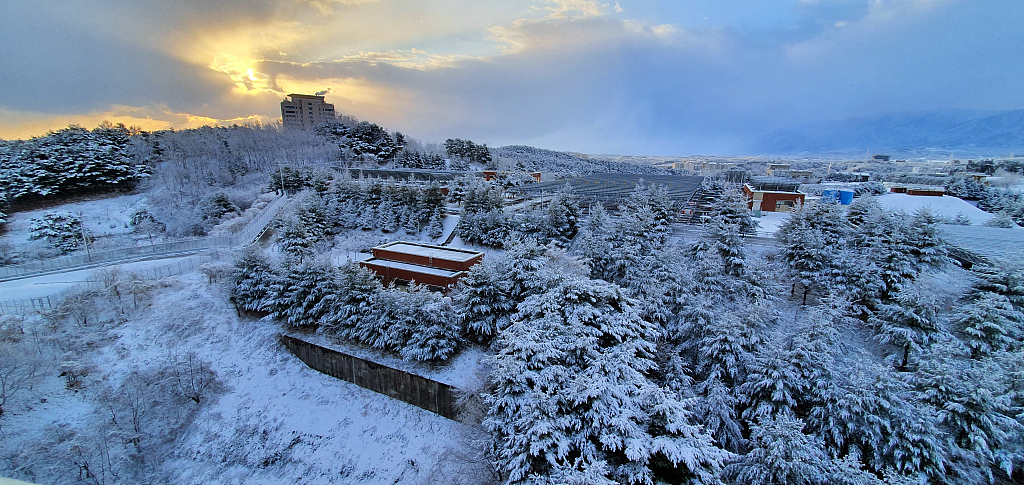 韩国江陵市迎来降雪银装素裹美如画
