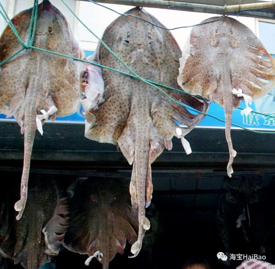 冬日里晾晒老板鱼,成为大连街头一景.