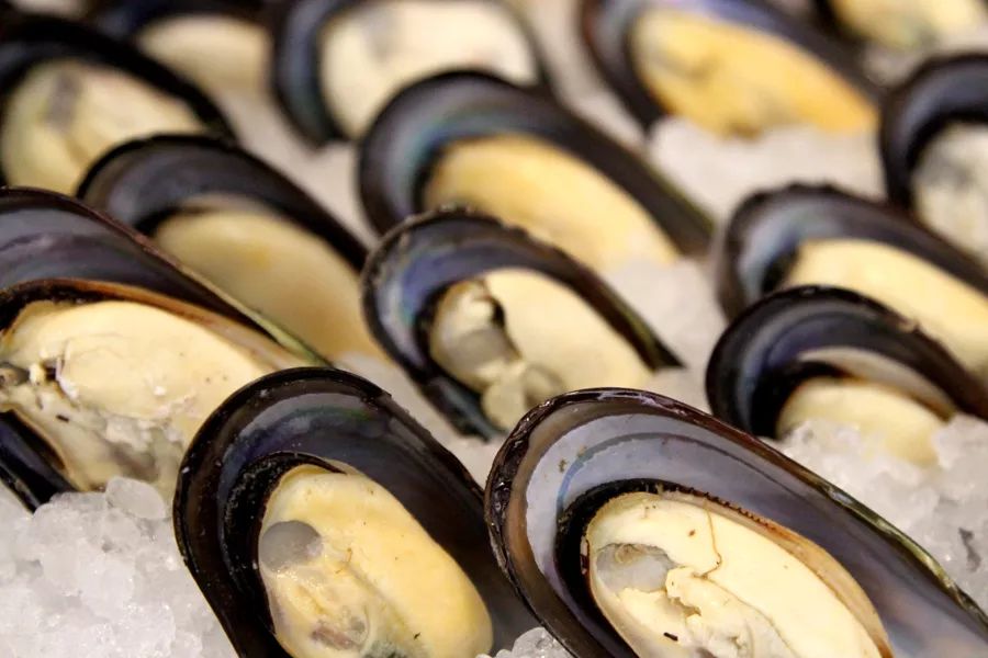 雪蟹腿饱满,熟虾肉质肥厚,日月贝每只都被精心挑选过.