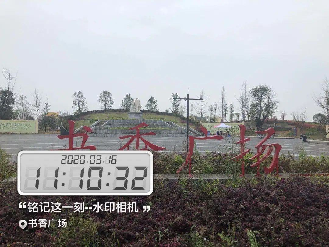 庚子鼠年"3.16",红光人以别样的方式向你表白