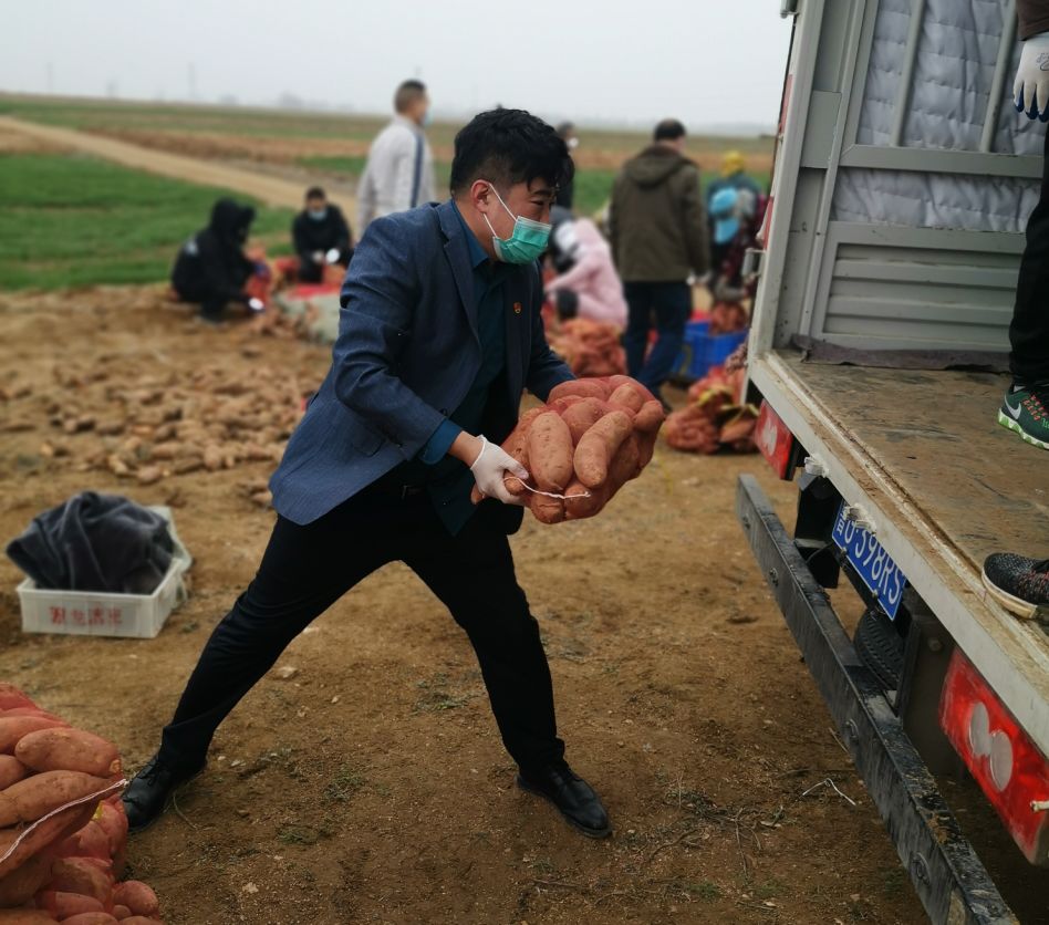 莒南县审计局派驻十字路街道官坊村第一书记张洪滔,深知地瓜种植户的