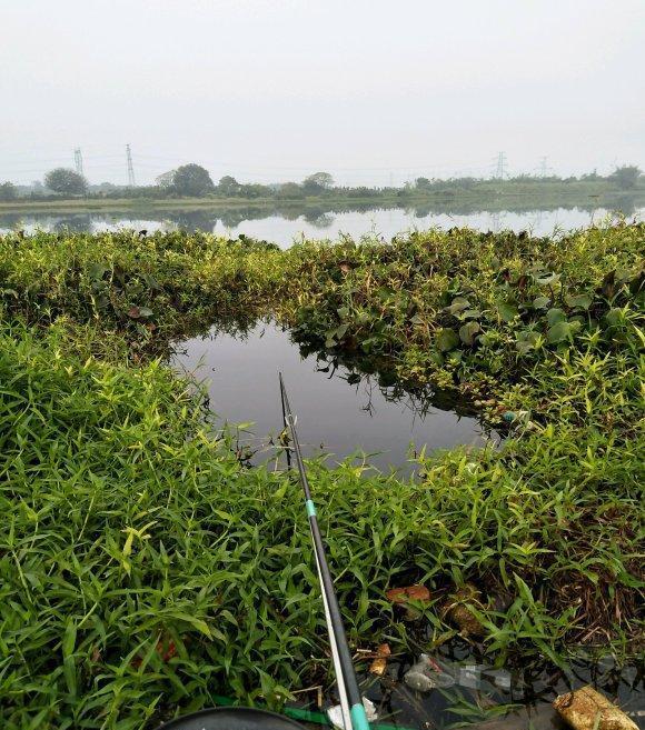 春钓滩没错但不是所有的滩都有鱼春钓浅滩攻略分享