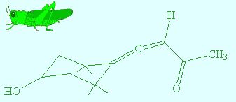 化学咖|化学界有它们，你知道吗？_分子