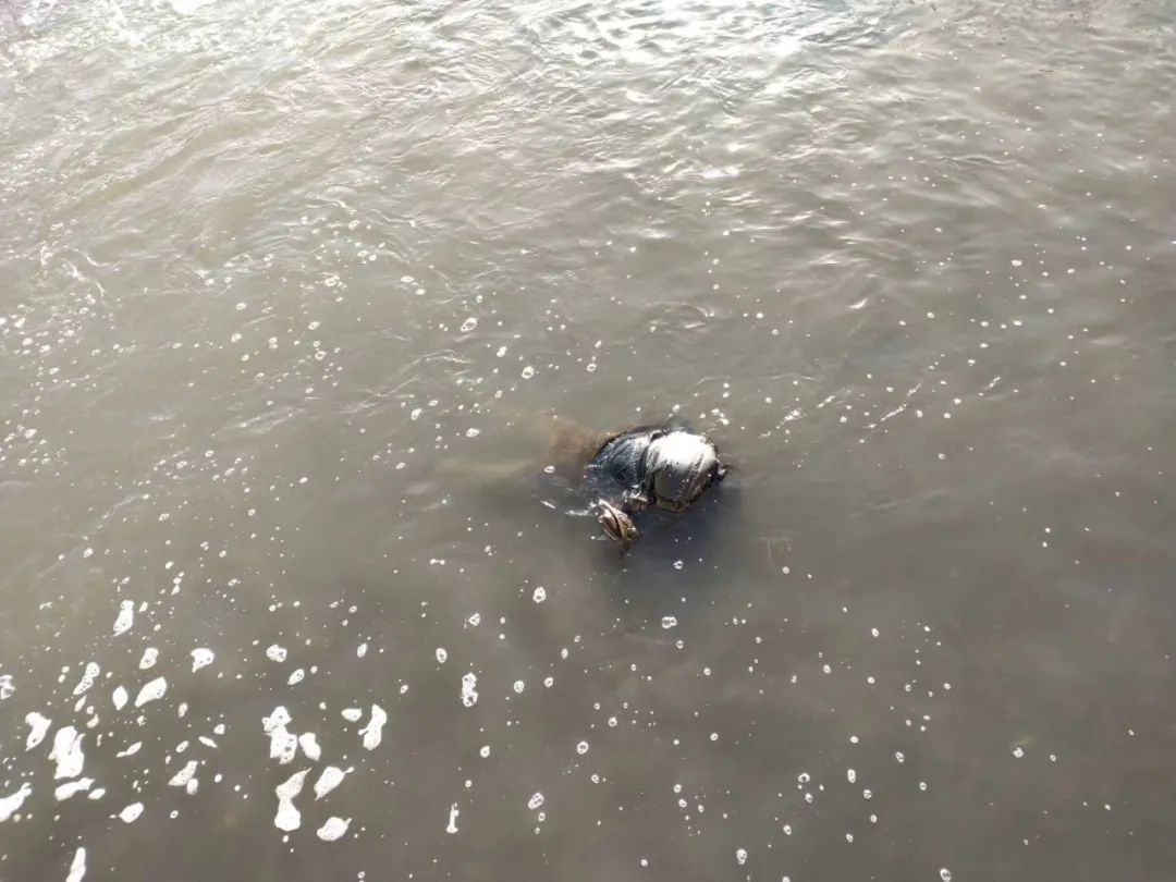 刚刚张家口大清河打捞上一具男尸