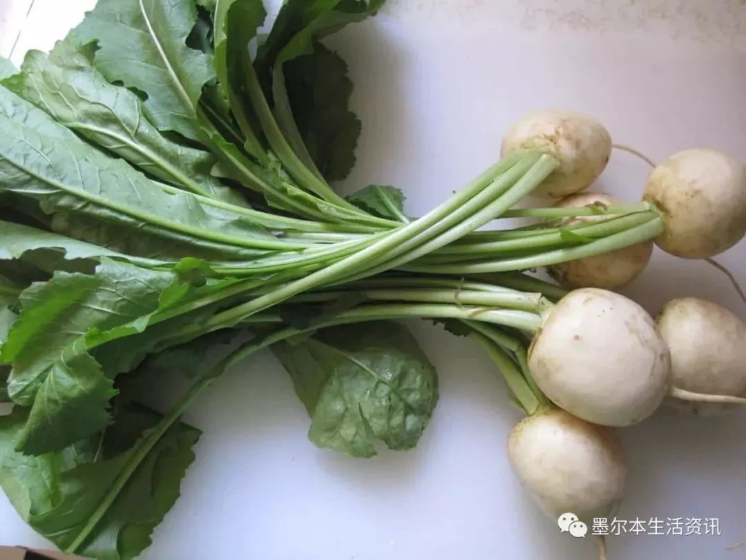 芜菁 turnip greens