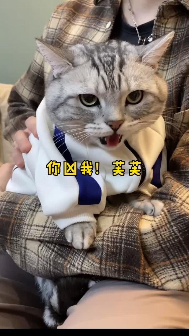 相亲花絮安生凶泡芙反而最后自己要逃跑了哈哈太丢脸了安生的爸爸王