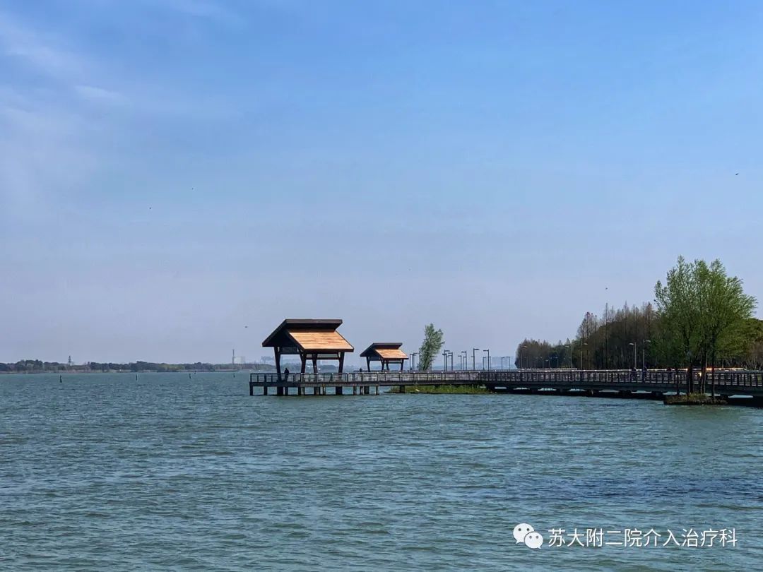 靳勇醫生攝於蘇州陽澄湖雲杉湖公園,蓮池湖公園