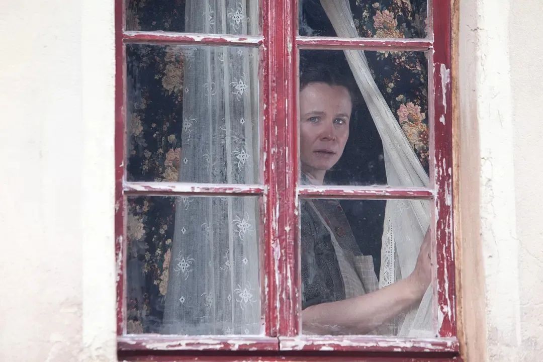 《偷书贼》:越是苦难的日子,越要好好地活_莉泽尔