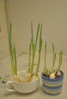 乐活亭幼2020年第三十三期乐活乐学居家健康day18