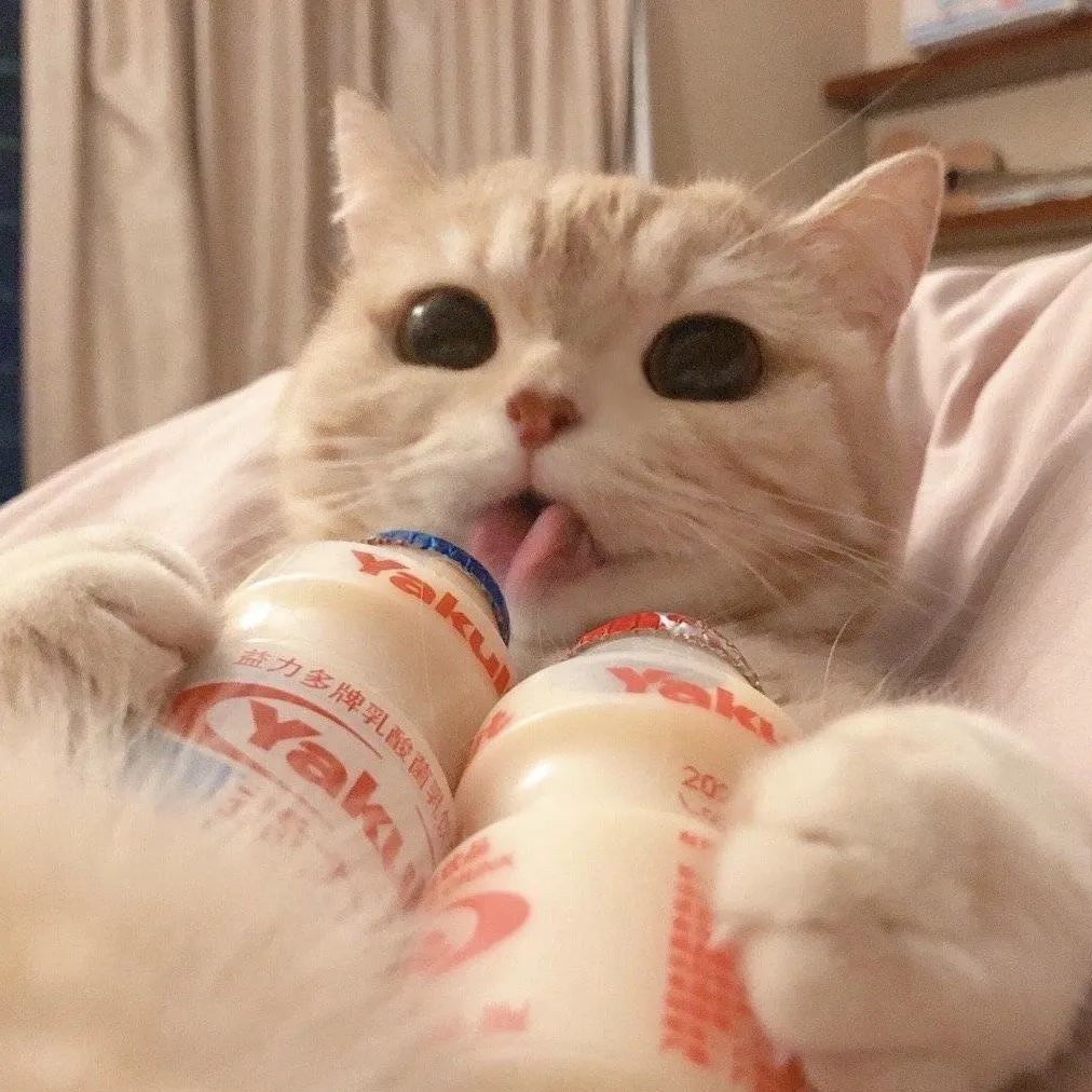 99张沙雕头像换上的人宇宙无敌可爱