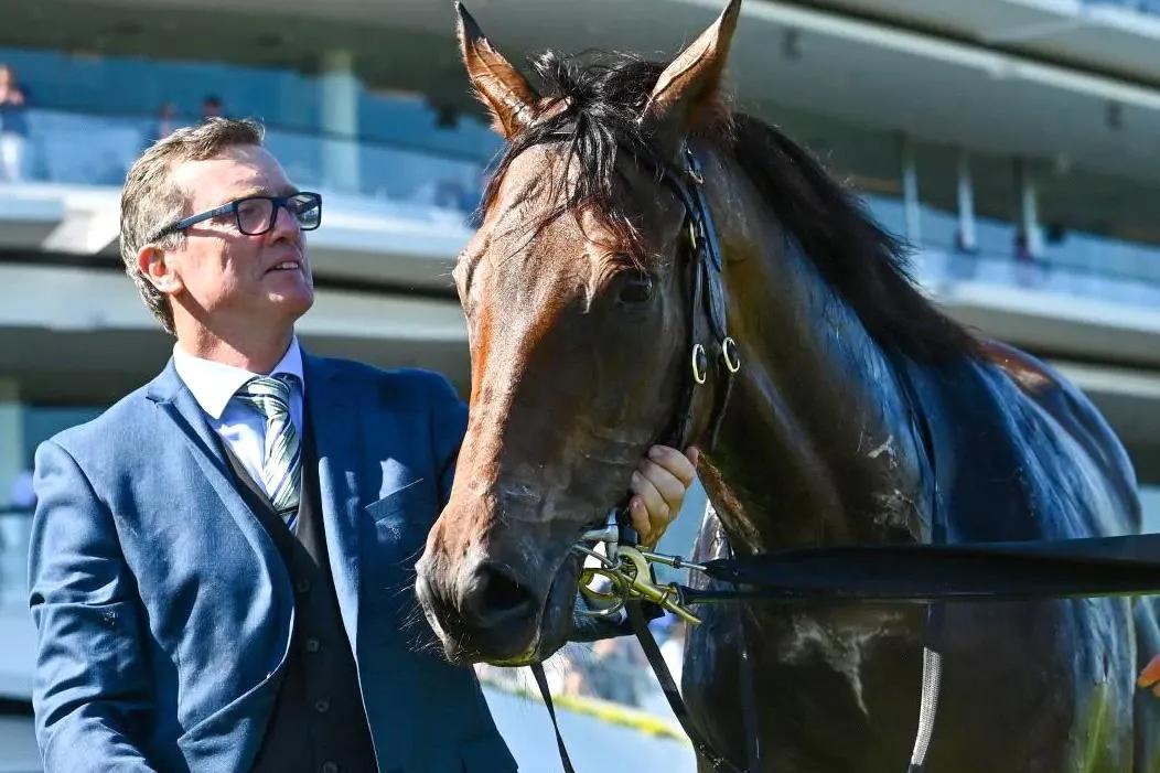 赛后"鳄鱼血"的练马师范迪祺(david vandyke)说:"赛后兽医检查没有