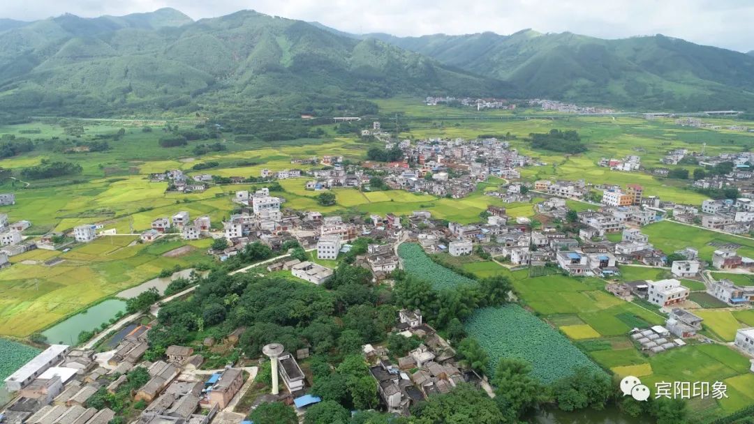 宾阳县古城村图片