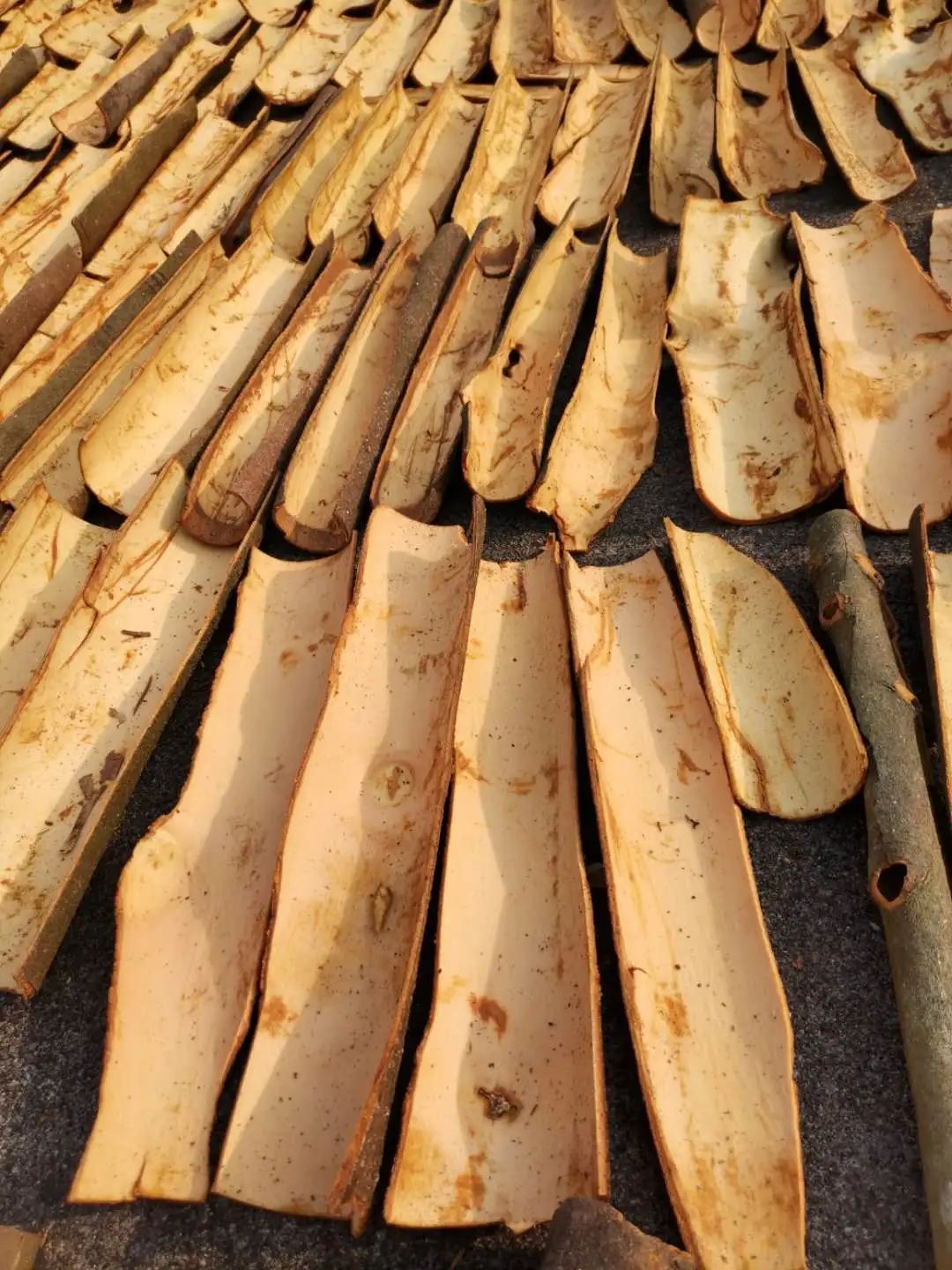 奇怪!孕妇能吃桂皮吗"专业正规"-第2张图片-品冠网