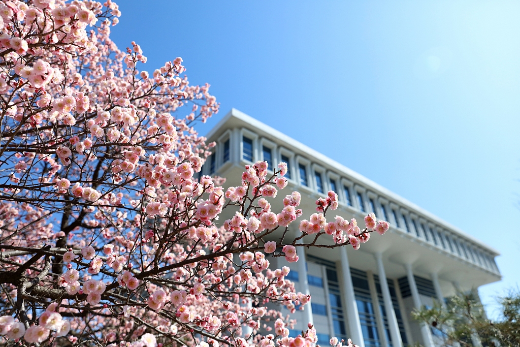 韩国全南国立大学图片